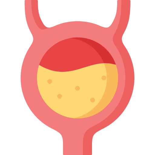 Bladder healthcare and medical human body bladder icon Bladder healthcare and medical human body bladder icon
