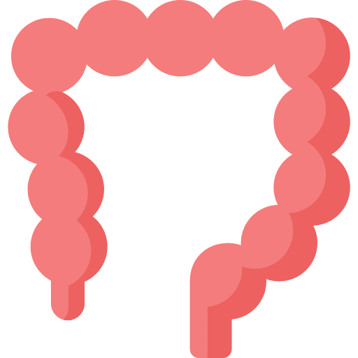 Colon healthcare and medical anatomy body organ icon Colon healthcare and medical anatomy body organ icon
