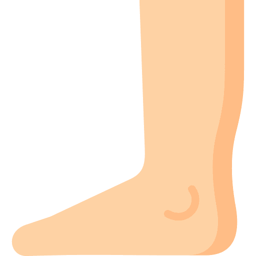 Foot anatomy body part healthcare and medical icon Foot anatomy body part healthcare and medical icon