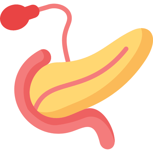 Pancreas pancreas human body digestive system icon Pancreas pancreas human body digestive system icon