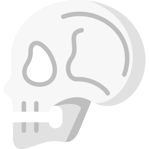 Skull anatomy head skull icon Skull anatomy head skull icon