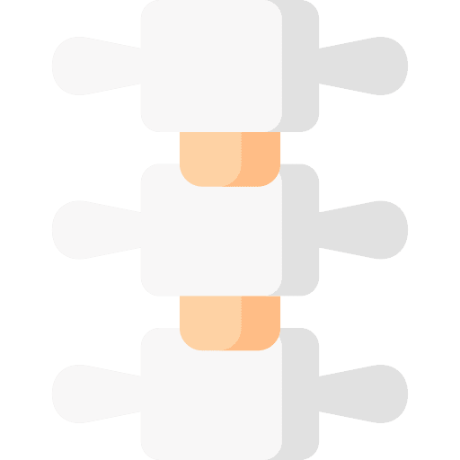 Spine human body body part backbone icon Spine human body body part backbone icon