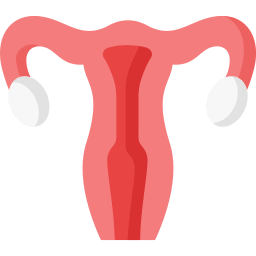 Uterus human body female organs reproductive system icon Uterus human body female organs reproductive system icon