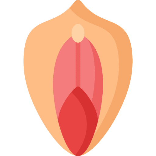 Vagina vagina body part body organ icon Vagina vagina body part body organ icon