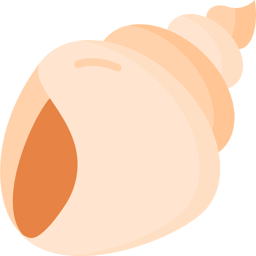 Conch animals sea life shell link icon