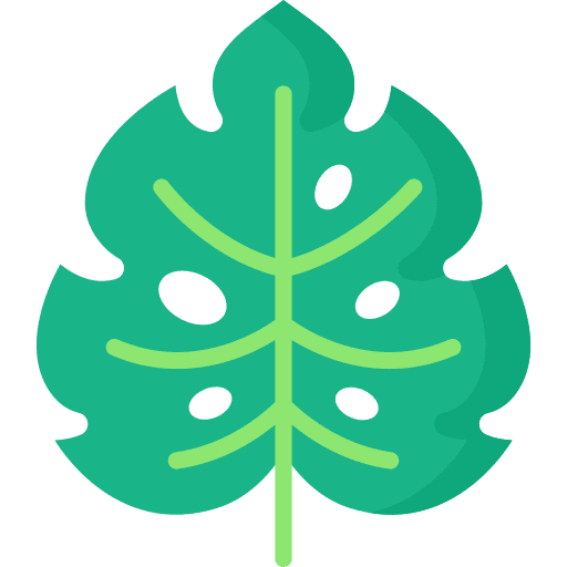 Leaf holidays garden tropical icon Leaf holidays garden tropical icon