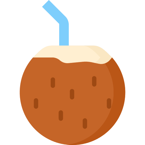 Coconut drink beach party holidays icon Coconut drink beach party holidays icon