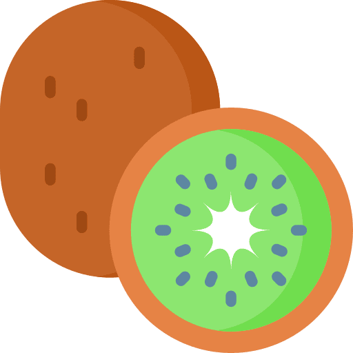 Kiwi vegan vegetarian fruit icon Kiwi vegan vegetarian fruit icon