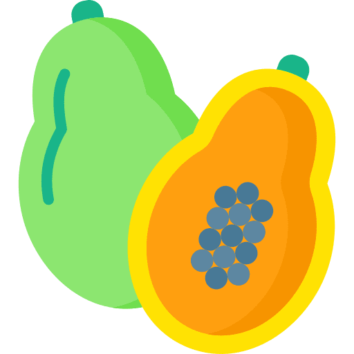 Papaya diet papaya fruit icon Papaya diet papaya fruit icon