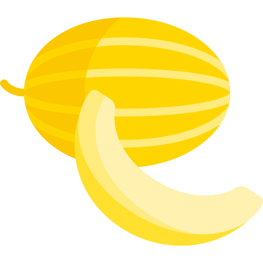 Melon melon fruit korean icon