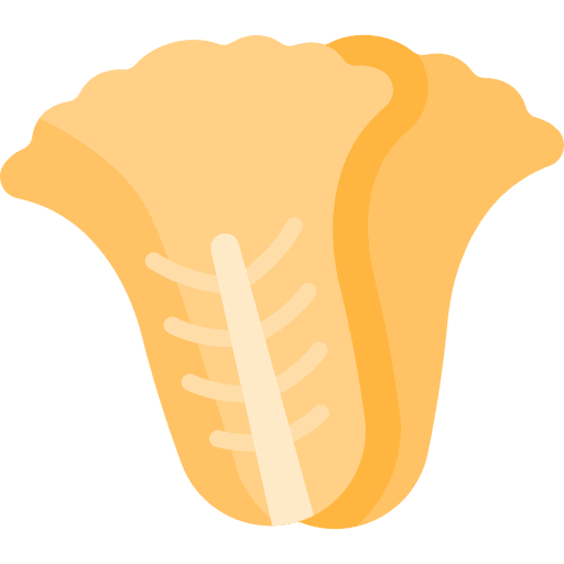 Kimchi asian food food and restaurant gastronomy icon Kimchi asian food food and restaurant gastronomy icon