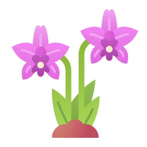 Orchid botanical farming and gardening orchid icon