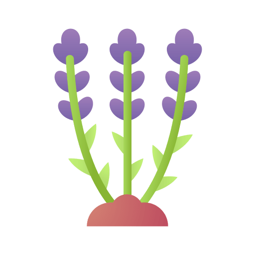 Lavender nature essence lavender icon Lavender nature essence lavender icon