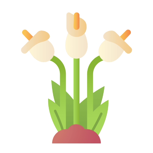 Lily botanic flower blossom icon Lily botanic flower blossom icon