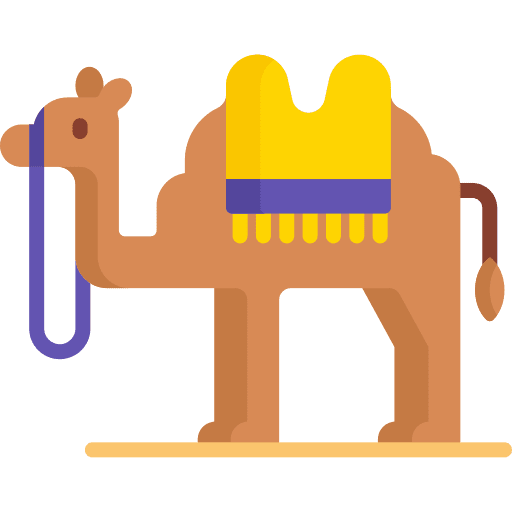 Camel desert camel transport icon