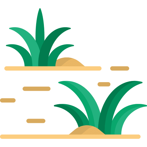 Grass nature botany plant icon