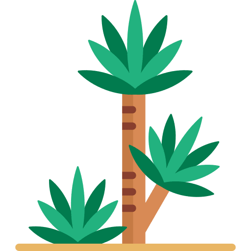 Yucca wild flower flora plant icon