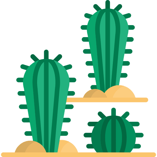 Cacti nature cactaceae cactus icon