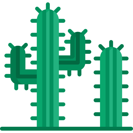 Cactus botanic cactaceae desert icon