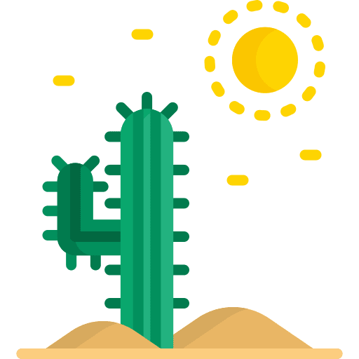 Cactus plant dry botanic icon
