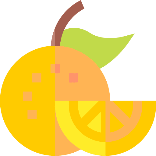 Orange vegan food and restaurant food icon Orange vegan food and restaurant food icon