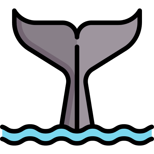 Whale wild life animals zoo icon