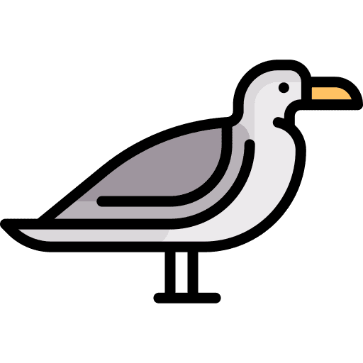 Seagull fauna wing beak icon Seagull fauna wing beak icon