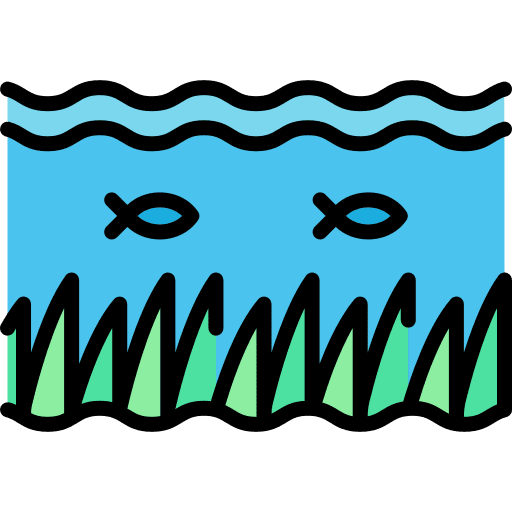 Seaweed seaweed nature sea life icon Seaweed seaweed nature sea life icon