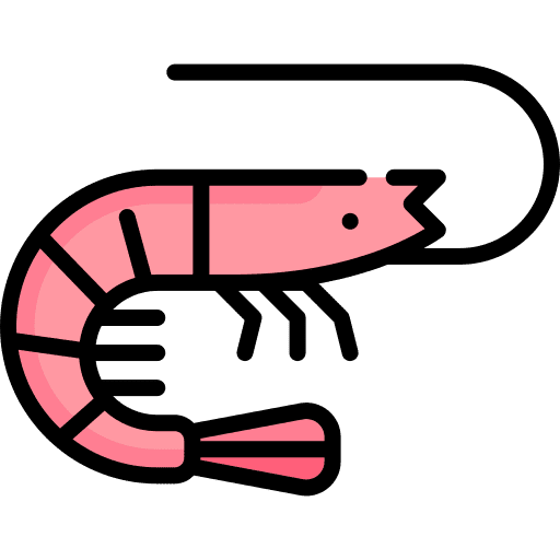 Shrimp wild life animal kingdom aquatic icon Shrimp wild life animal kingdom aquatic icon