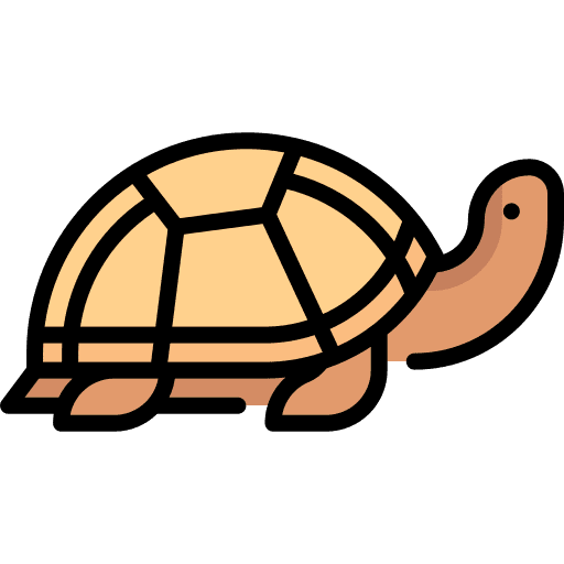 Turtle zoology animals fauna icon Turtle zoology animals fauna icon