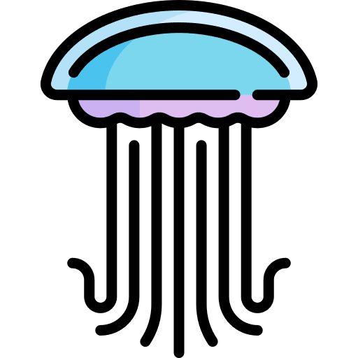 Jellyfish aquatic animals jellyfish icon Jellyfish aquatic animals jellyfish icon