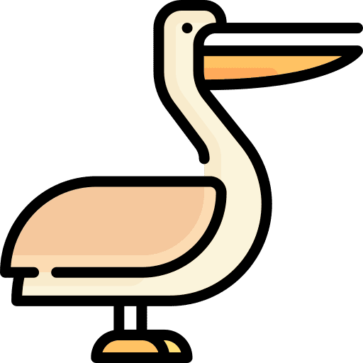 Pelican animal pelican wild life icon Pelican animal pelican wild life icon