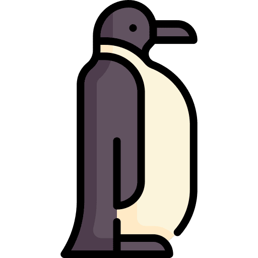 Penguin penguin winter wild life icon Penguin penguin winter wild life icon