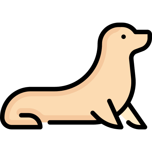 Seal mammal animal seal icon Seal mammal animal seal icon
