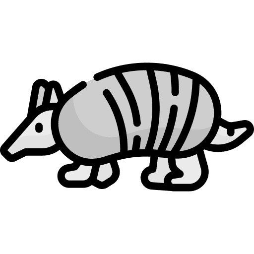 Armadillo animals animal kingdom zoo icon