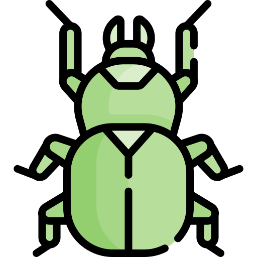 Beetle zoo animal kingdom wildlife icon Beetle zoo animal kingdom wildlife icon
