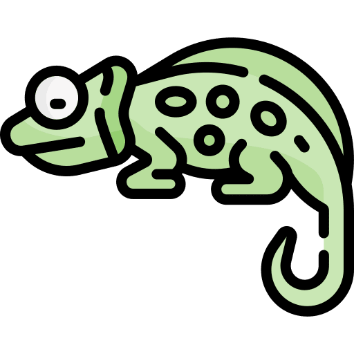 Chameleon wild life animals zoo icon Chameleon wild life animals zoo icon