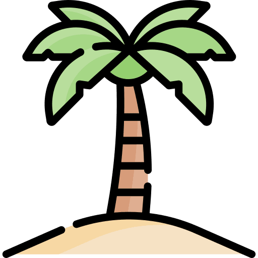 Palm tree palm tree summer island icon