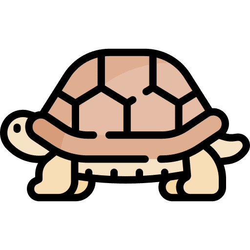 Turtle zoology animal kingdom fauna icon