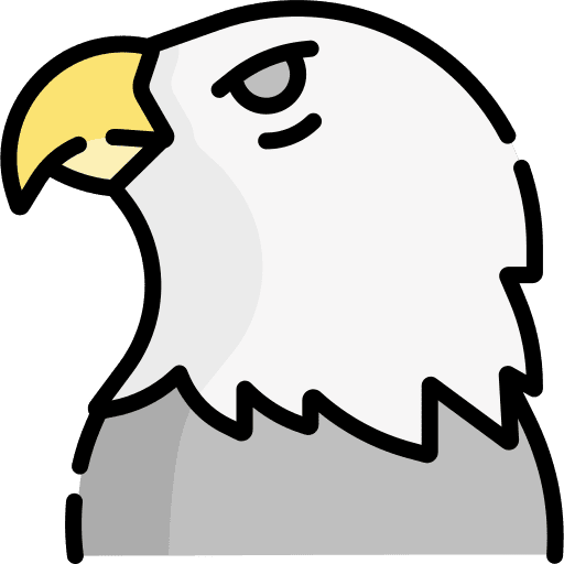 Eagle bird ornithology flight icon Eagle bird ornithology flight icon