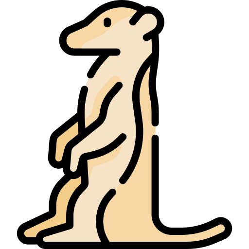 Meerkat animal kingdom mammal zoo icon Meerkat animal kingdom mammal zoo icon