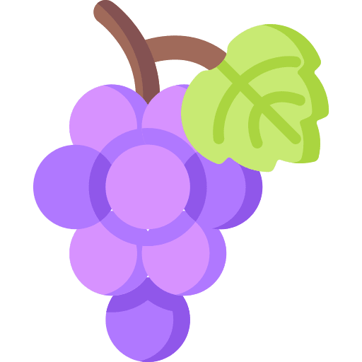 Grape berries food grape icon