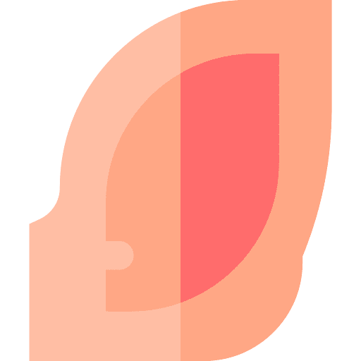 Pig animal ear pork icon