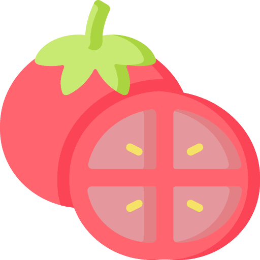 Tomato vegetarian organic tomato icon Tomato vegetarian organic tomato icon