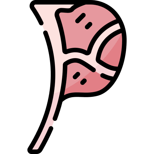 Tomahawk steak meat food and restaurant icon
