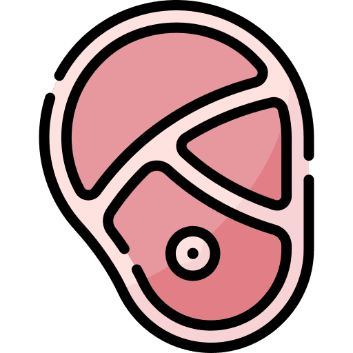 Meat steak food and restaurant protein icon
