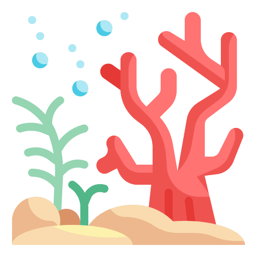 Coral nature underwater marine icon