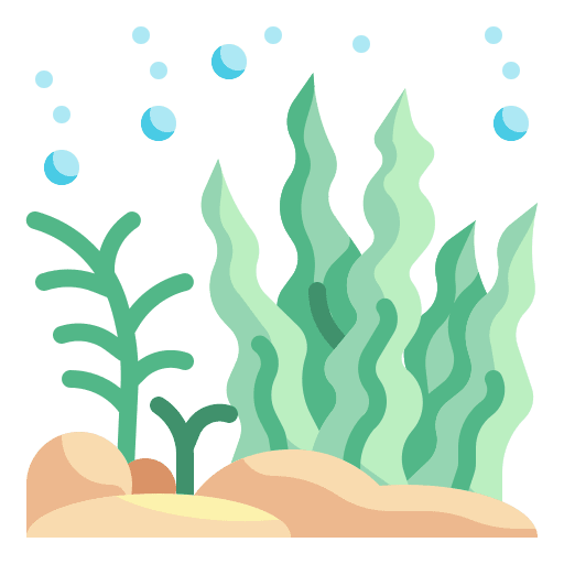 Seaweed nature sea plant icon