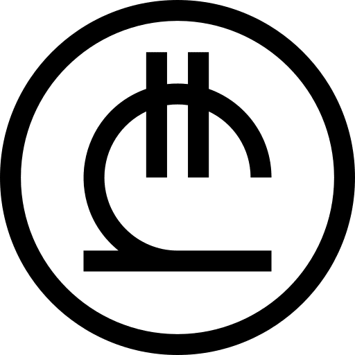 Lari banking georgia cash icon