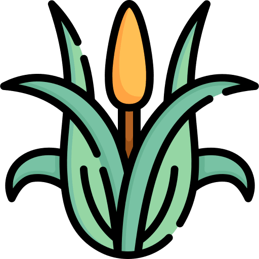 Corn seeds farming and gardening nature icon Corn seeds farming and gardening nature icon